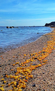 Отдых летом на Белом море – неповторимая красота Карелии